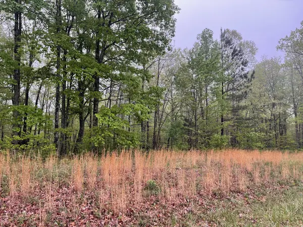 0 Box House Road, Belvidere, TN 37306