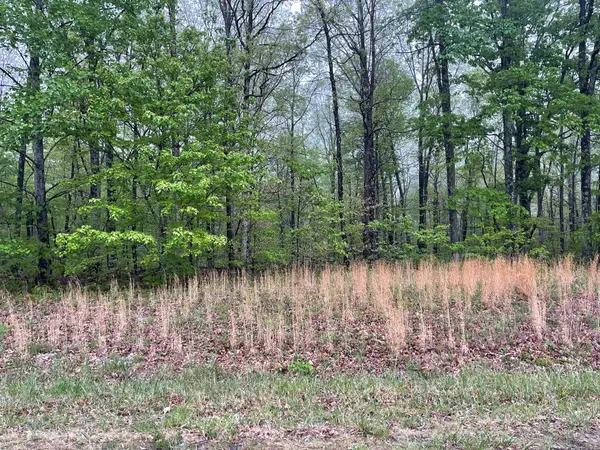 0 Box House Road, Belvidere, TN 37306
