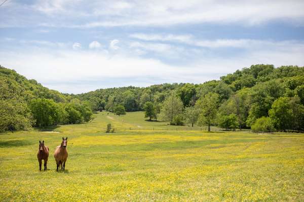 1951 Evergreen Rd, Thompsons Station, TN 37179