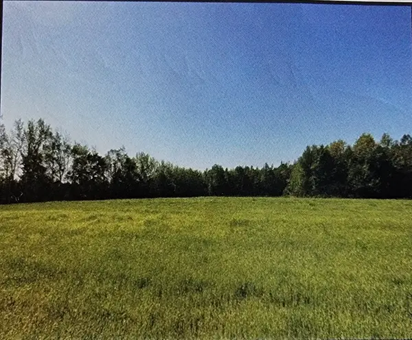 0 Hollow Springs Rd, Bradyville, TN 37026