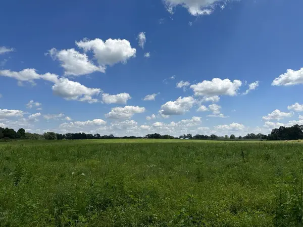 0 Old North Military Lot #1, Summertown, TN 38483