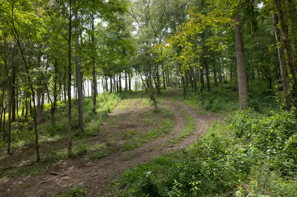 0 Johnson Hollow Road, Thompsons Station, TN 37179