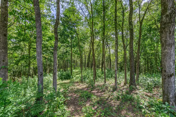 0 Johnson Hollow Road, Thompsons Station, TN 37179