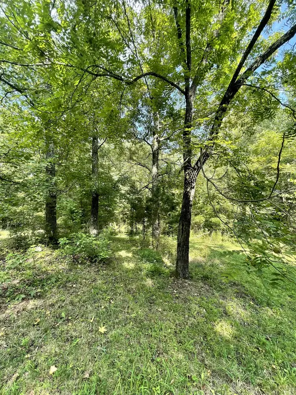 1790 Dry Creek Rd, Waverly, TN 37185