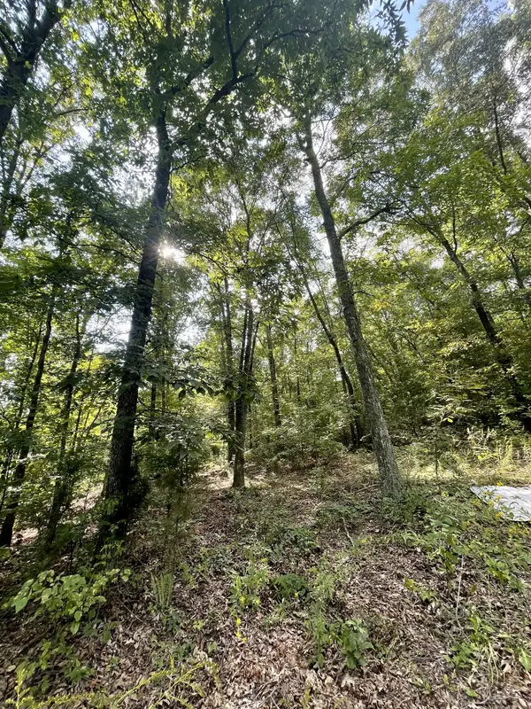 1790 Dry Creek Rd, Waverly, TN 37185