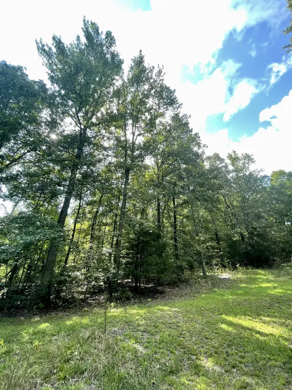 1790 Dry Creek Rd, Waverly, TN 37185