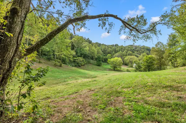1521 Lewis Pvt Ln, Franklin, TN 37064