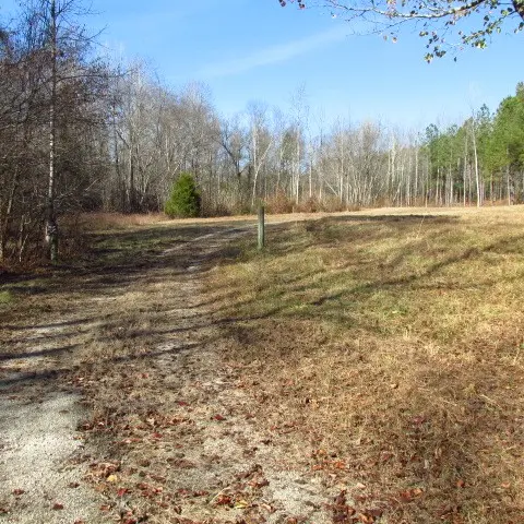 2374 Hohammer Rd, Holladay, TN 38341