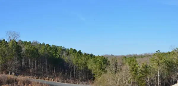 11 Stonecrest Drive, Rock Spring, GA 30739