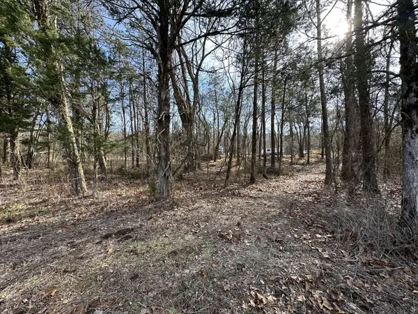 5337 Dan Richardson Rd, Clifton, TN 38425