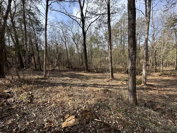 5337 Dan Richardson Rd, Clifton, TN 38425