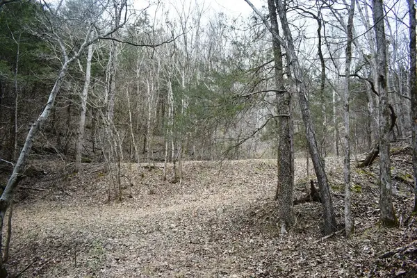 28 Orchard Ln, Chestnut Mound, TN 38552