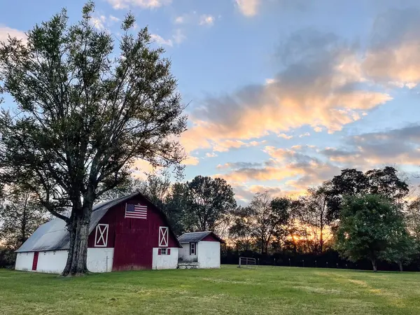 1133 Locust Ln, Columbia, TN 38401