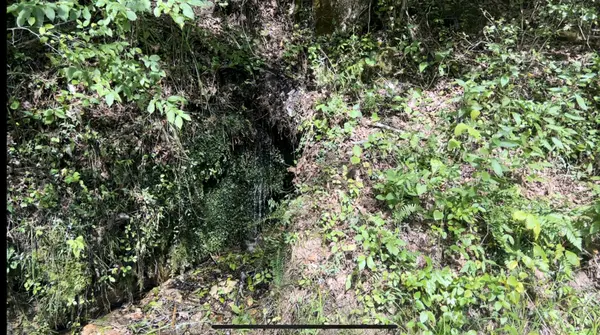 0 Newborn Hollow Rd, Collinwood, TN 38450