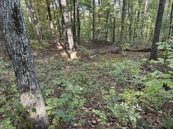 0 Fox Ridge Road, Pikeville, TN 37367