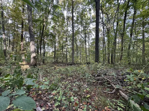 0 Fox Ridge Road, Pikeville, TN 37367