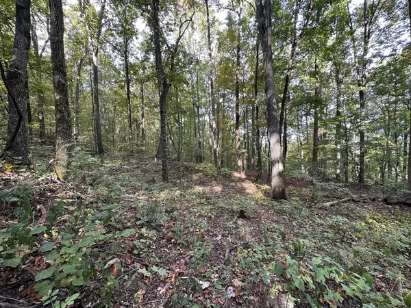 0 Fox Ridge Road, Pikeville, TN 37367