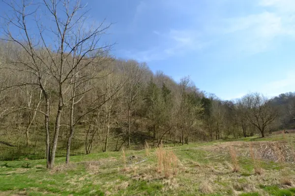 49 Saint Marys Rd, Chestnut Mound, TN 38552