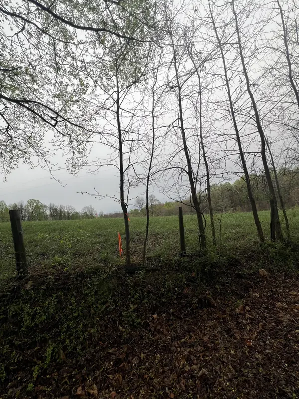 523 Hog Back Ridge Road, Bethpage, TN 37022