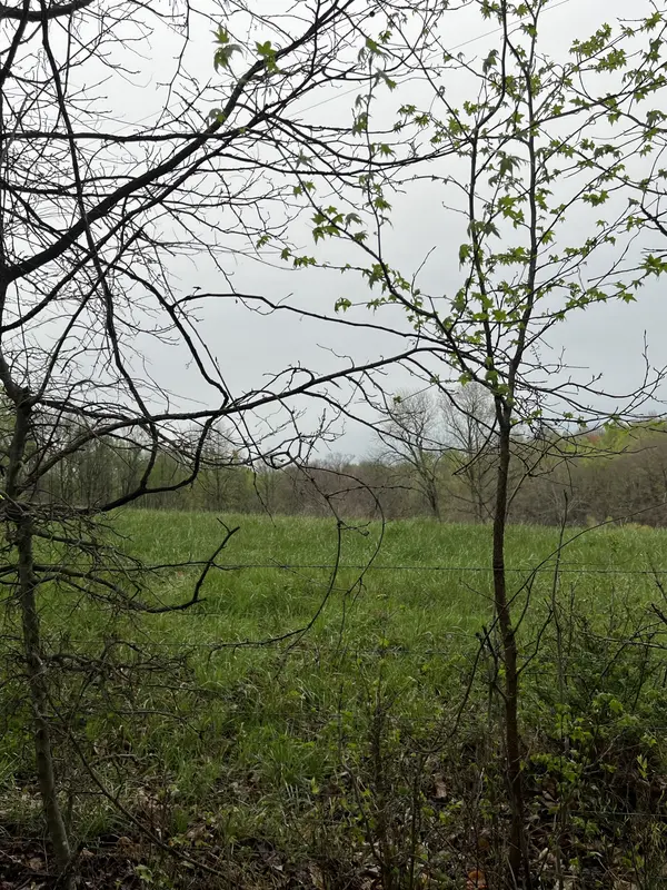 523 Hog Back Ridge Road, Bethpage, TN 37022