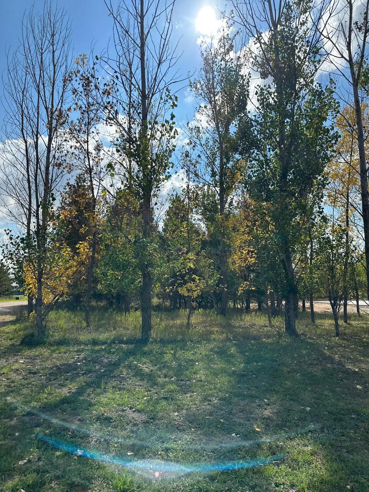 Lot #8 Lidstrom RD, Detroit Twp, MN 56501