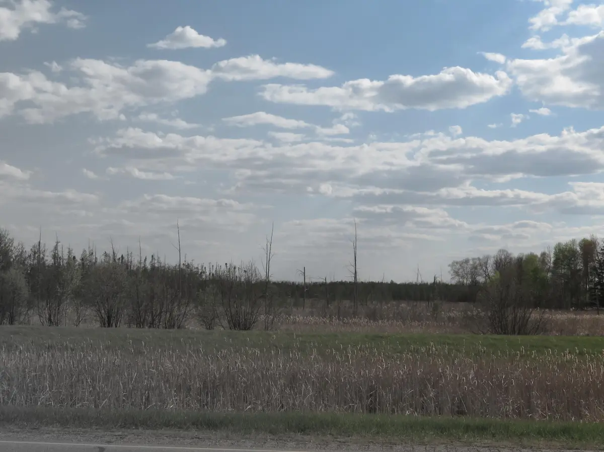 xxx State Highway 200, Ball Bluff Twp, MN 56431