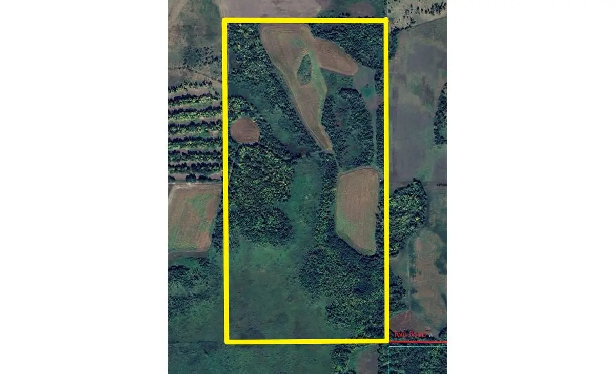 XxxX 500th ST, Bartlett Twp, MN 56481
