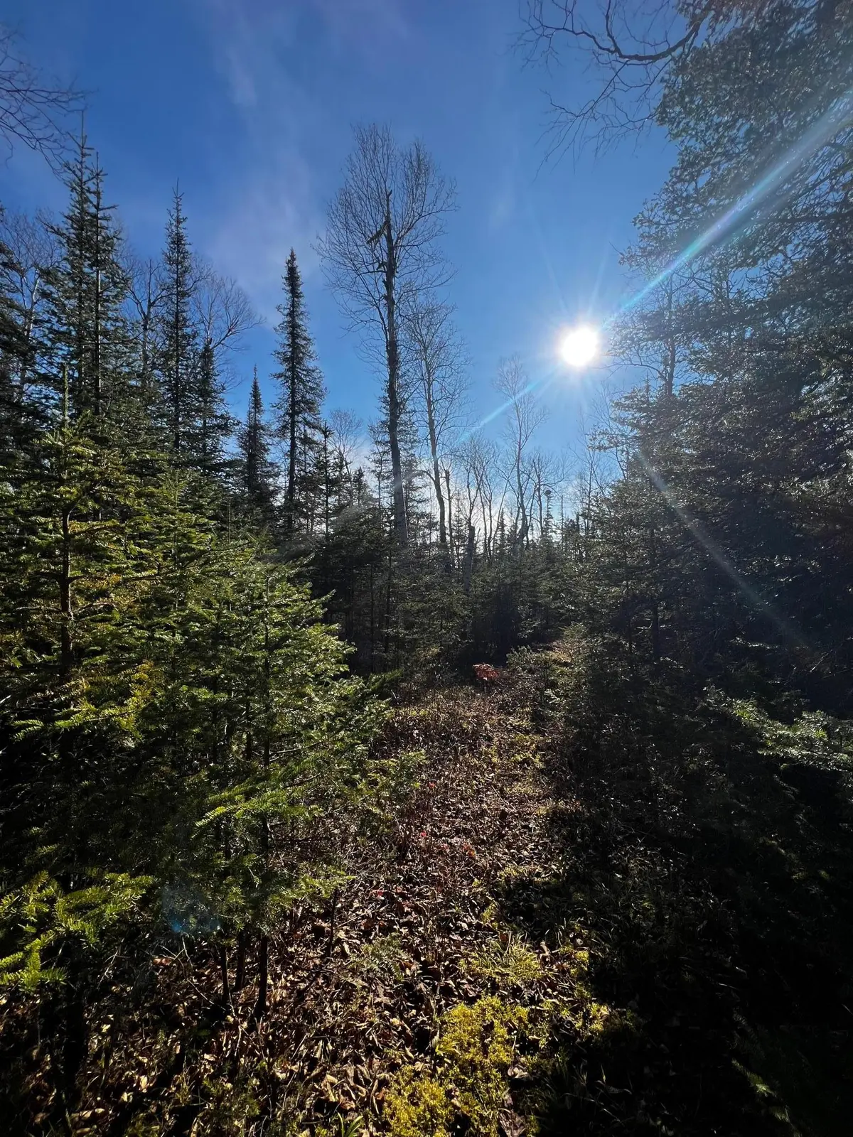 4331 Highway 61 (PARCEL A), Two Harbors, MN 55616