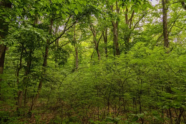 Block 1, Lot 7 Mid-River EST, Pokegama Twp, MN 55063
