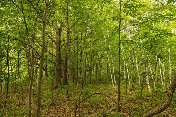 Block 1, Lot 7 Mid-River EST, Pokegama Twp, MN 55063