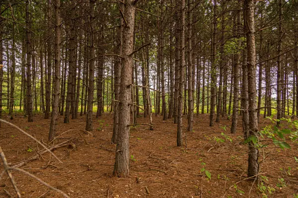 Block 1, Lot 8 Mid-River EST, Pokegama Twp, MN 55063