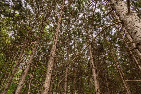 Block 1, Lot 8 Mid-River EST, Pokegama Twp, MN 55063