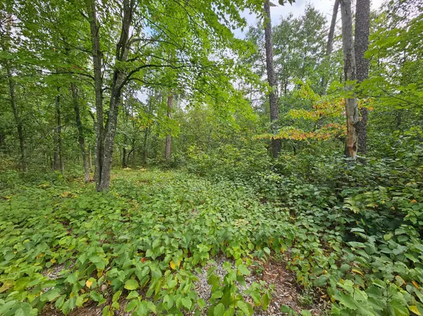 4902 Twisted Oak TRL, Danbury, WI 54830