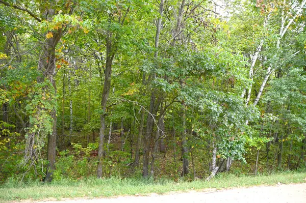 XXXX Penny DR, Fawn Lake Twp, MN 56438