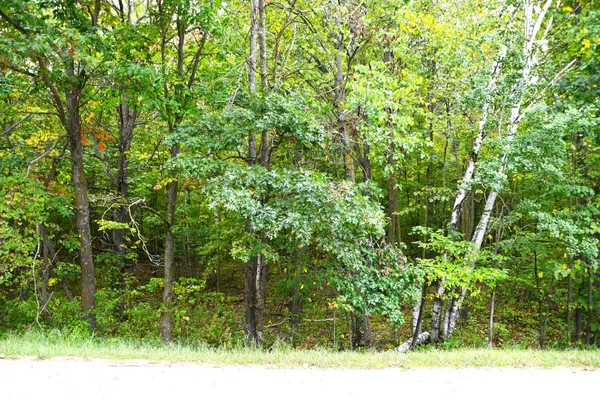 XXXX Penny DR, Fawn Lake Twp, MN 56438