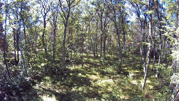 TBD Southview Dr, Breezy Point, MN 56472