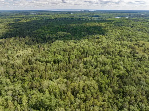 L6 B1 TBD Pine Terrace RD, Ideal Twp, MN 56442