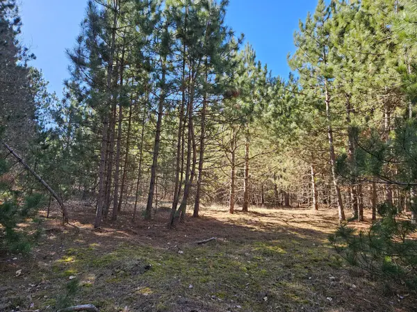 905 Scott DR, Bashaw Twp, WI 54801