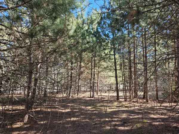 903 Scott DR, Bashaw Twp, WI 54801