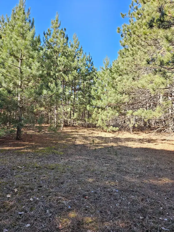 903 Scott DR, Bashaw Twp, WI 54801