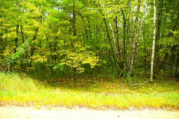 Lot 27 Block 7 Oak Drive, Moran Twp, MN 56438