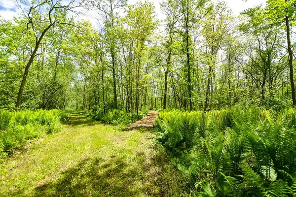 37325 Hastings AVE NE, Stanchfield Twp, MN 55080