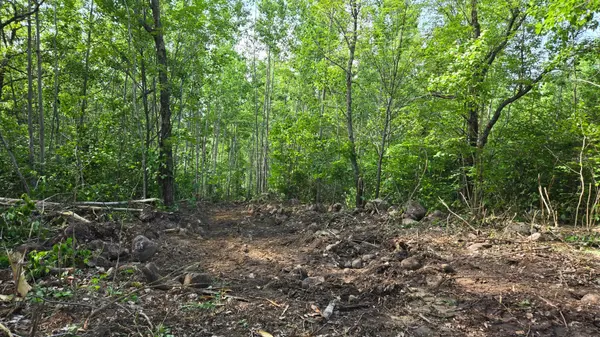 2825 Niles Bay Forest RD, Buyck, MN 55771