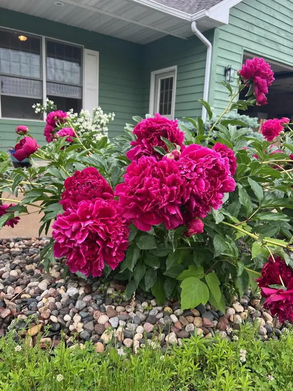 1896 Red Fox DR, Red Wing, MN 55066