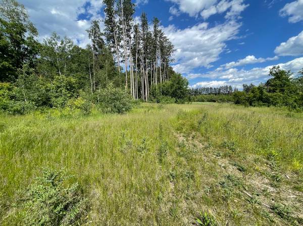 TBD Cemetery Rd, Jenkins, MN 56472