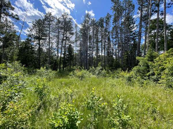TBD Cemetery Rd, Jenkins, MN 56472