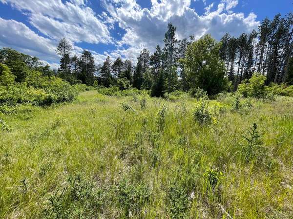 TBD Cemetery Rd, Jenkins, MN 56472