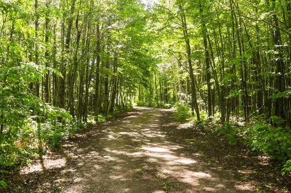 TBD R N R Lane NW, Pinewood, MN 56676