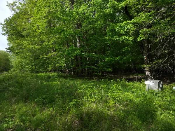XXX N Pleasantview Trail (Lot 7), Big Bend Twp, WI 54757