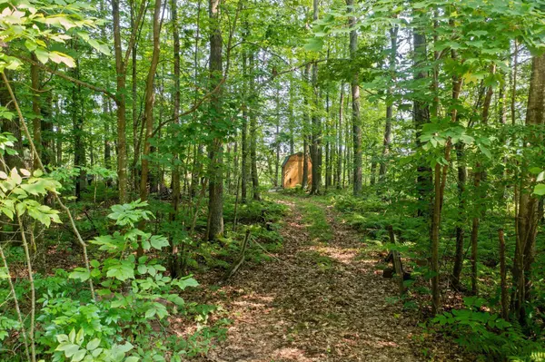 148xx River Island RD, Pine City Twp, MN 55063